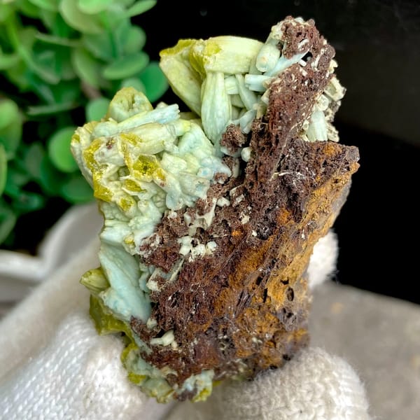 Two-tone pale green and yellow pyromorphite on limonite from Guangxi, China, second angle