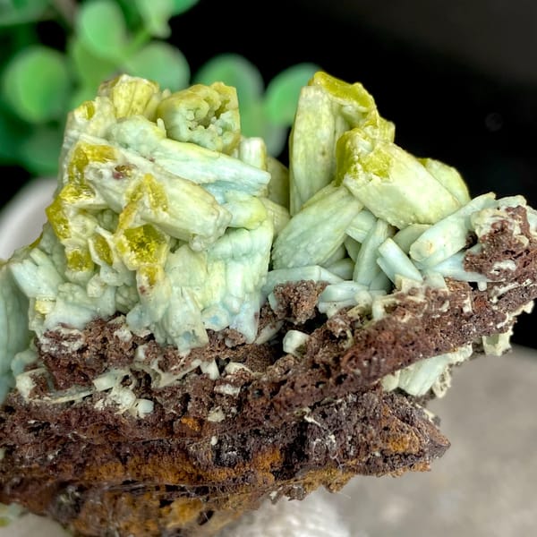 Two-tone pale green and yellow pyromorphite on limonite from Guangxi, China, close-up of the crystal faces