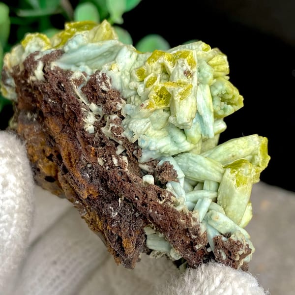 Two-tone pale green and yellow pyromorphite on limonite from Guangxi, China, reverse side