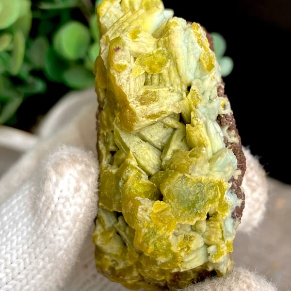 Two-tone pale green and yellow pyromorphite on limonite from Guangxi, China, close-up of terminations