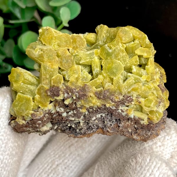 Two-tone pale green and yellow pyromorphite on limonite from Guangxi, China, overall view