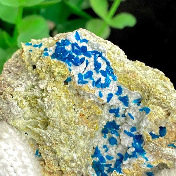 Electric-blue platy veszelyite on tan matrix from Yunnan, China, reverse side