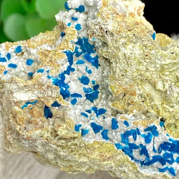 Electric-blue platy veszelyite on tan matrix from Yunnan, China, detail of the matrix contact