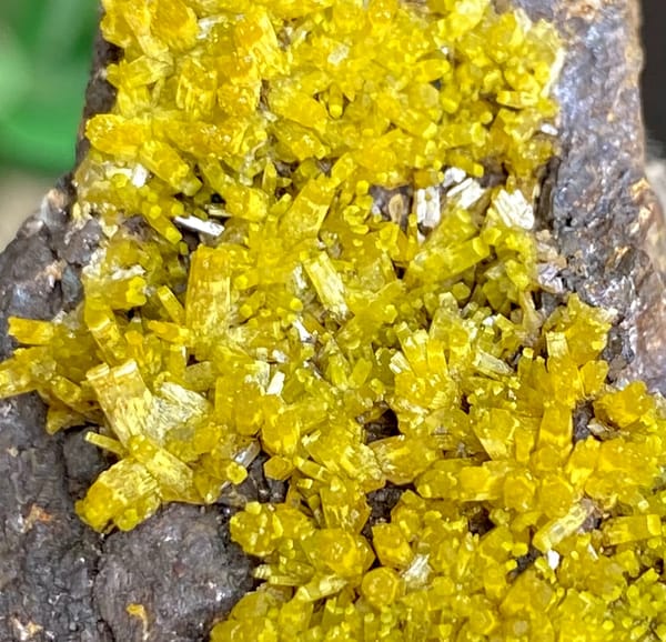 Band of matcha-green pyromorphite across dark limonite from Guangxi, China, second angle