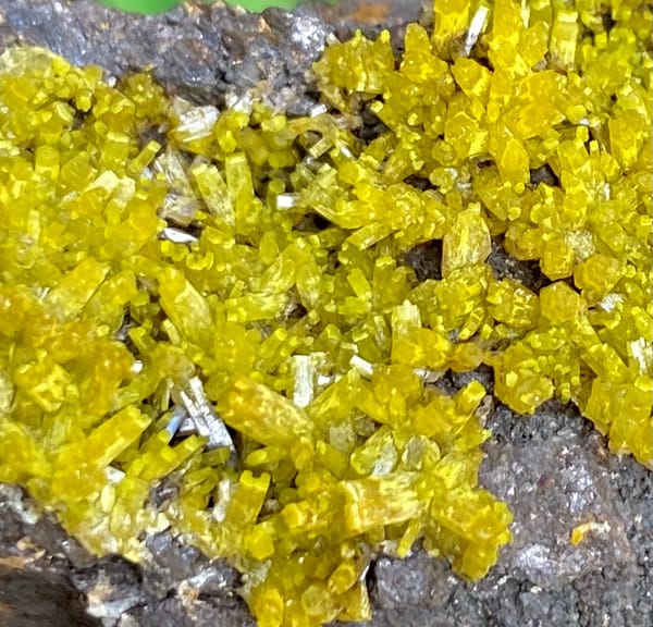 Band of matcha-green pyromorphite across dark limonite from Guangxi, China, top view