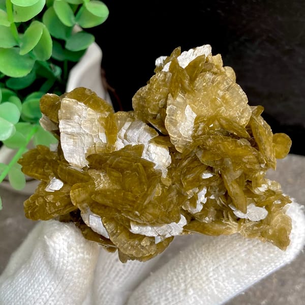 Cluster of olive-brown siderite blades from Guizhou, China, second angle