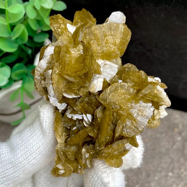 Cluster of olive-brown siderite blades from Guizhou, China, close-up of the crystal faces