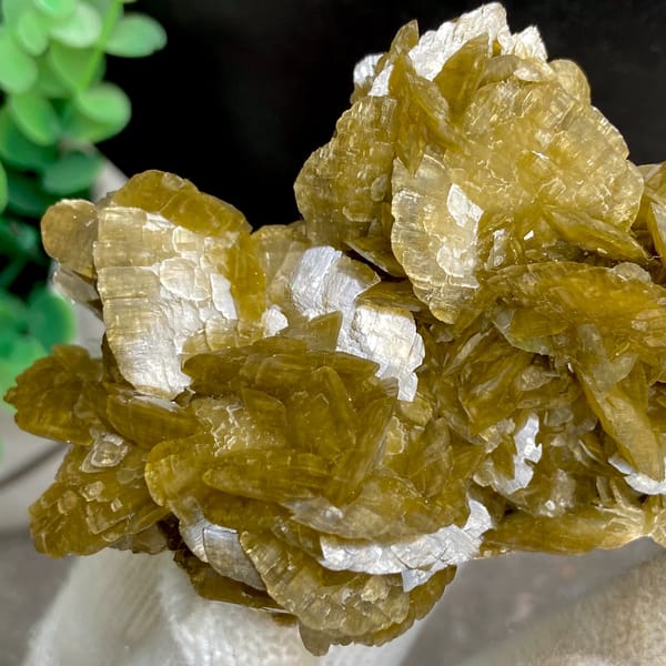 Cluster of olive-brown siderite blades from Guizhou, China, top view
