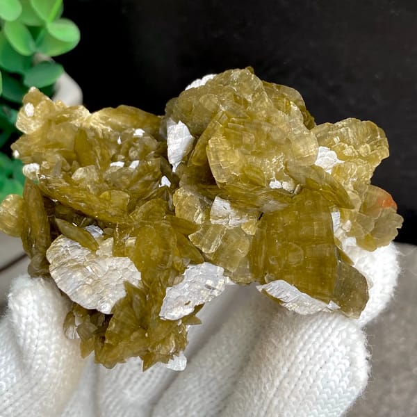 Cluster of olive-brown siderite blades from Guizhou, China, detail of the matrix contact