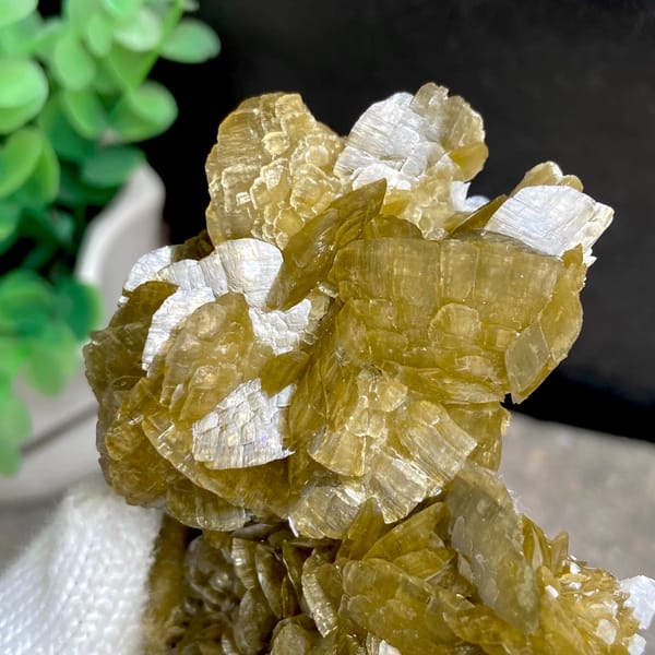 Cluster of olive-brown siderite blades from Guizhou, China, side view
