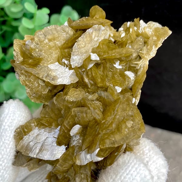Cluster of olive-brown siderite blades from Guizhou, China, close-up of terminations