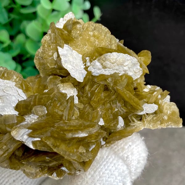 Cluster of olive-brown siderite blades from Guizhou, China, overall view