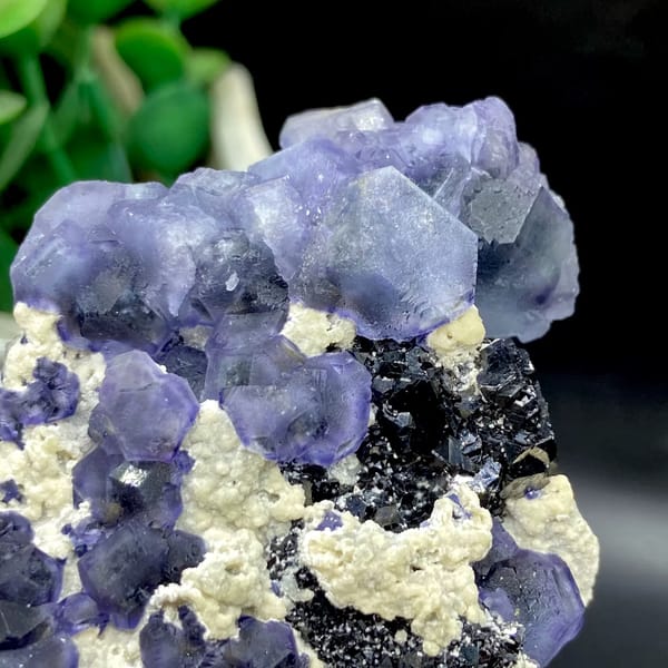 Frosted lavender phantom fluorite with black crystals and cream druse from Inner Mongolia, China, reverse side