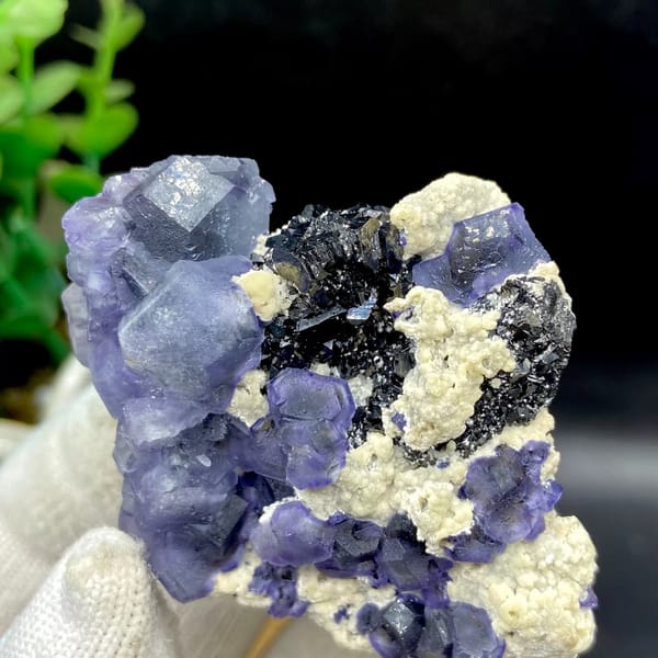 Frosted lavender phantom fluorite with black crystals and cream druse from Inner Mongolia, China, overall view