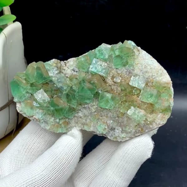 Glassy sea-green fluorite cubes on pale matrix plate from Hebei, China, held in gloved hand