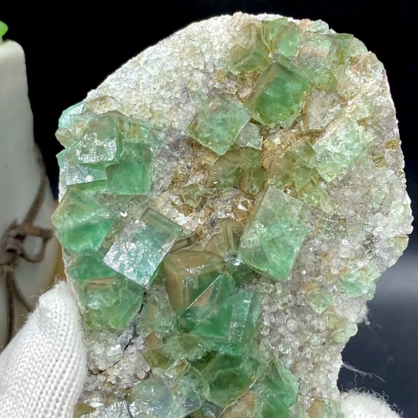 Glassy sea-green fluorite cubes on pale matrix plate from Hebei, China, top view
