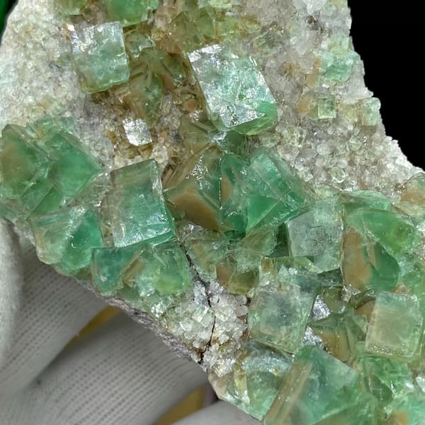 Glassy sea-green fluorite cubes on pale matrix plate from Hebei, China, side view