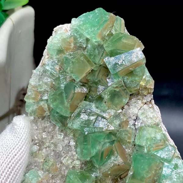 Glassy sea-green fluorite cubes on pale matrix plate from Hebei, China, close-up of terminations