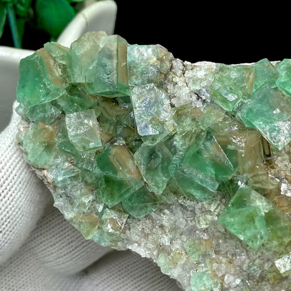 Glassy sea-green fluorite cubes on pale matrix plate from Hebei, China, overall view