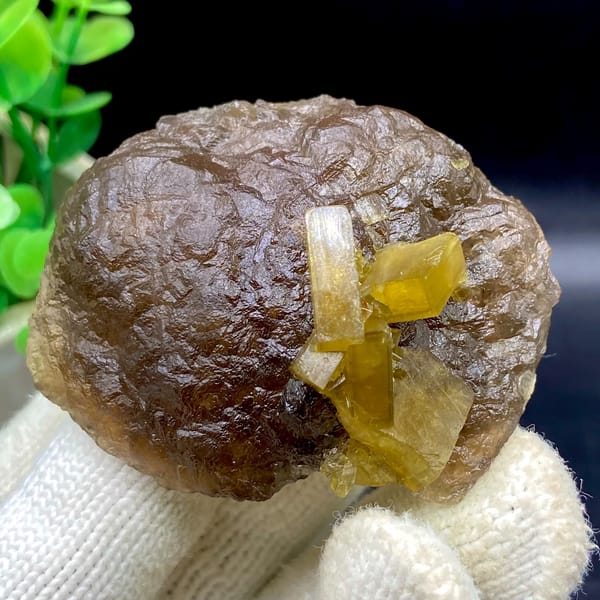 Golden baryte blades on smooth brown fluorite ball from Jiangxi, China, overall view