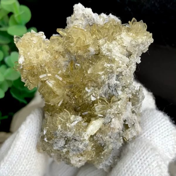 Cluster of pale golden transparent baryte blades from Yunnan, China, held in gloved hand