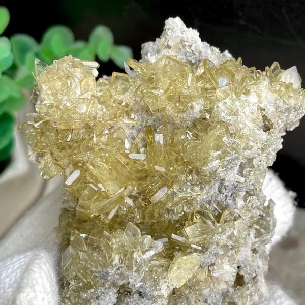 Cluster of pale golden transparent baryte blades from Yunnan, China, reverse side