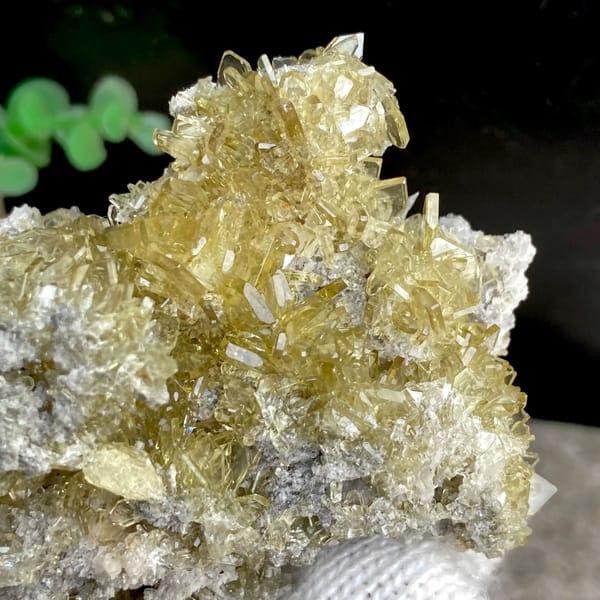 Cluster of pale golden transparent baryte blades from Yunnan, China, top view