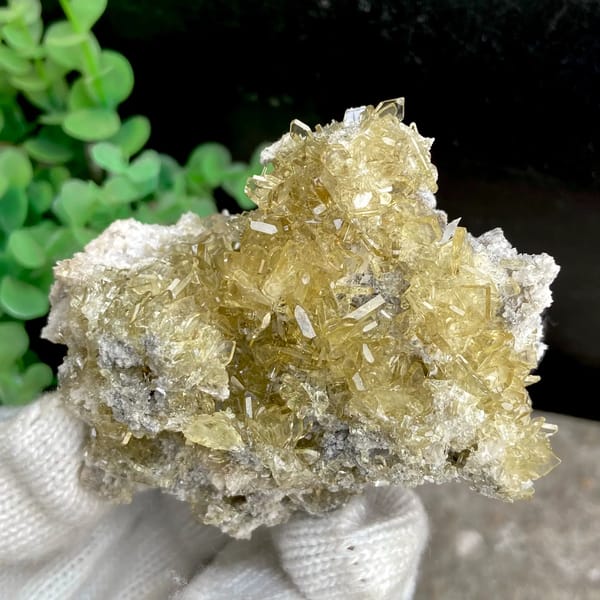 Cluster of pale golden transparent baryte blades from Yunnan, China, detail of the matrix contact