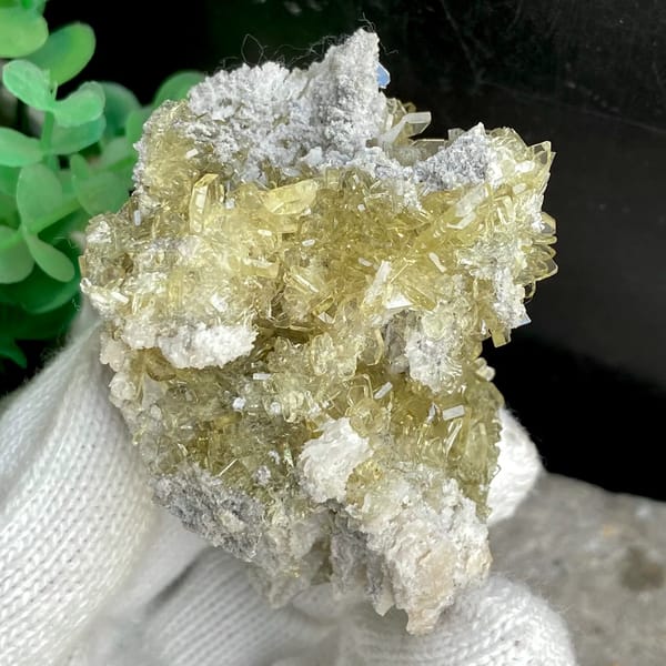 Cluster of pale golden transparent baryte blades from Yunnan, China, overall view