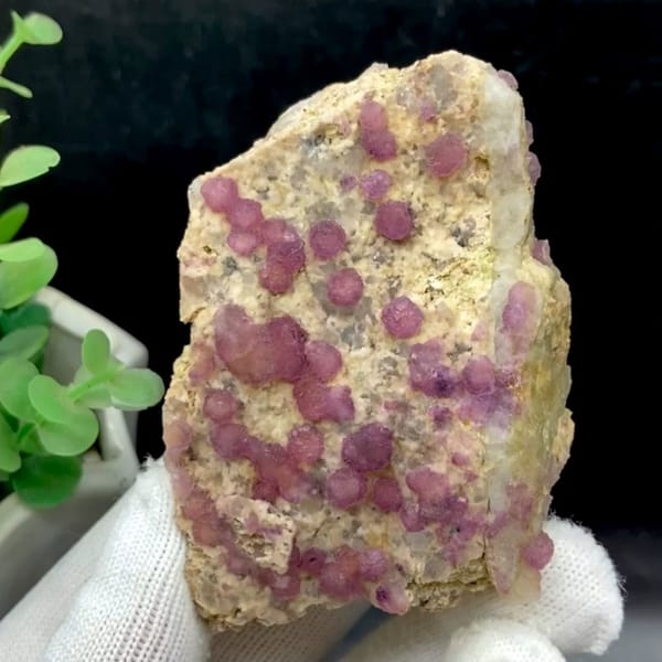 Raspberry strawberry-fluorite balls on tall tan plate from Henan, China, held in gloved hand