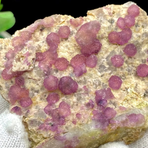 Raspberry strawberry-fluorite balls on tall tan plate from Henan, China, close-up of the crystal faces