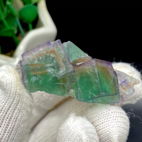 Transparent green fluorite cubes with violet edges on tan rock from Hebei, China, close-up of the crystal faces