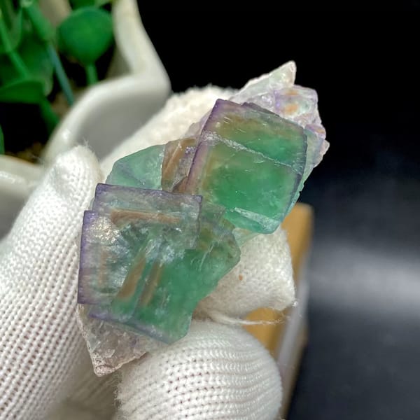 Transparent green fluorite cubes with violet edges on tan rock from Hebei, China, reverse side