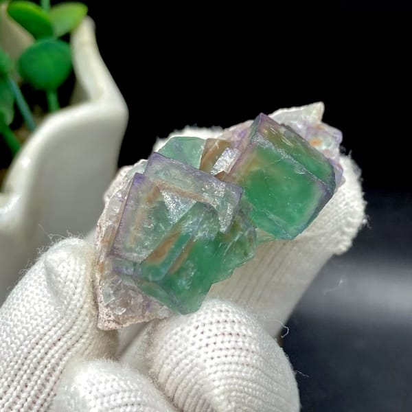 Transparent green fluorite cubes with violet edges on tan rock from Hebei, China, top view