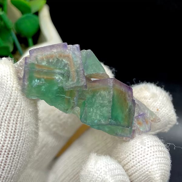 Transparent green fluorite cubes with violet edges on tan rock from Hebei, China, detail of the matrix contact