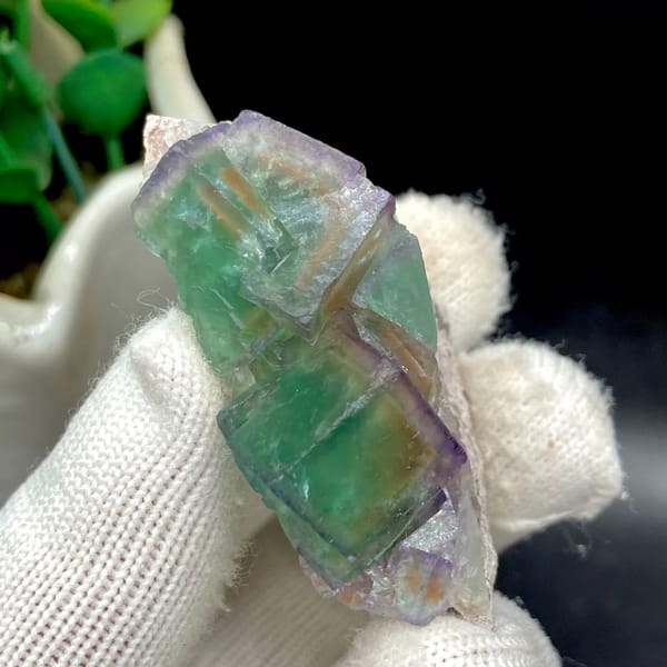 Transparent green fluorite cubes with violet edges on tan rock from Hebei, China, side view