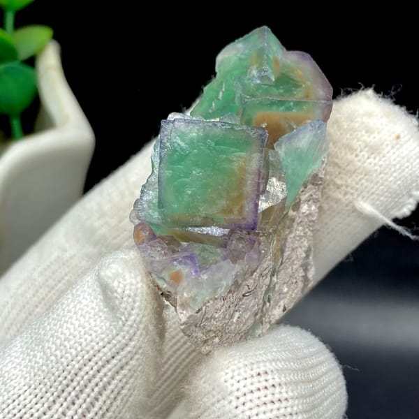 Transparent green fluorite cubes with violet edges on tan rock from Hebei, China, close-up of terminations