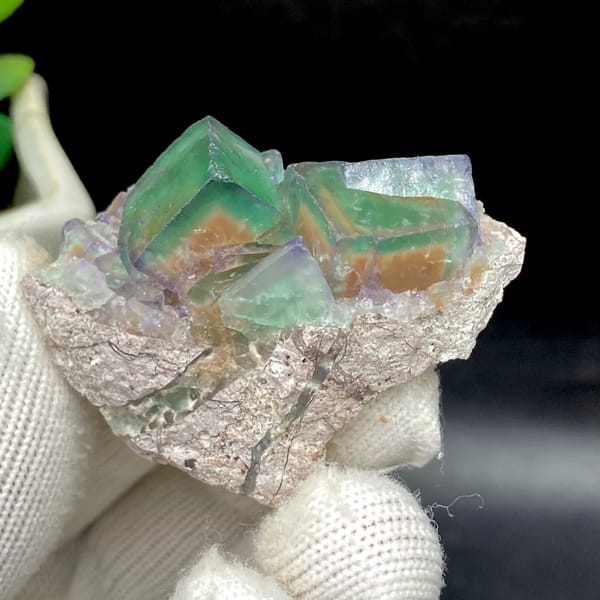 Transparent green fluorite cubes with violet edges on tan rock from Hebei, China, overall view