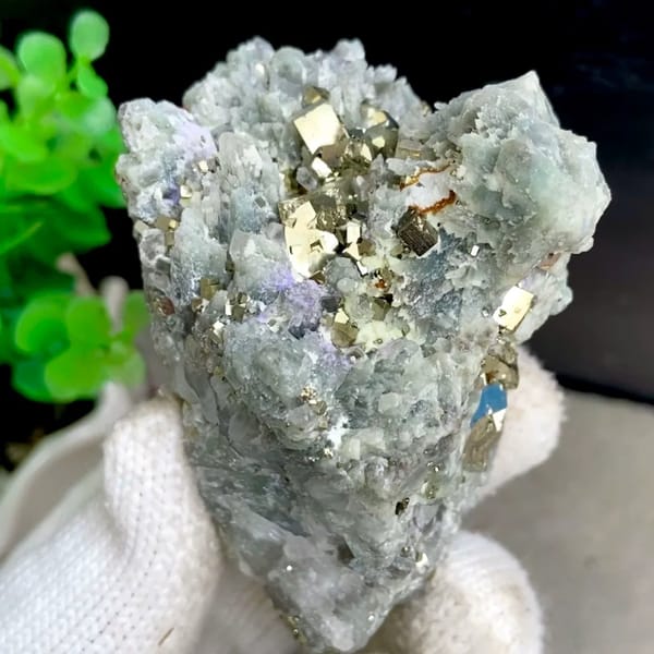 Brassy pyrite cubes on pale green quartz from Shangbao, Hunan, China, held in gloved hand