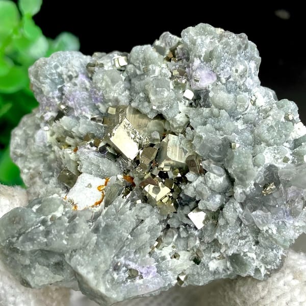 Brassy pyrite cubes on pale green quartz from Shangbao, Hunan, China, reverse side