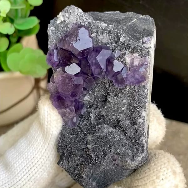 Transparent violet fluorite cubes on dark grey block from Fujian, China, held in gloved hand