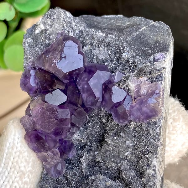 Transparent violet fluorite cubes on dark grey block from Fujian, China, second angle