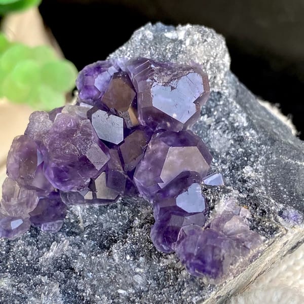Transparent violet fluorite cubes on dark grey block from Fujian, China, close-up of the crystal faces