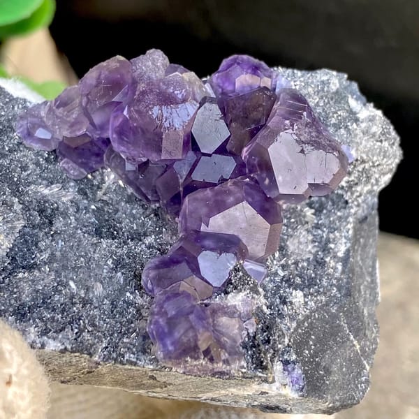 Transparent violet fluorite cubes on dark grey block from Fujian, China, reverse side