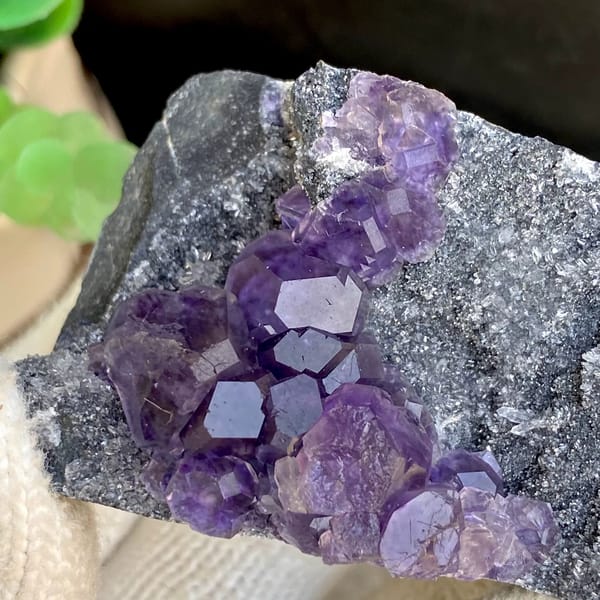 Transparent violet fluorite cubes on dark grey block from Fujian, China, side view