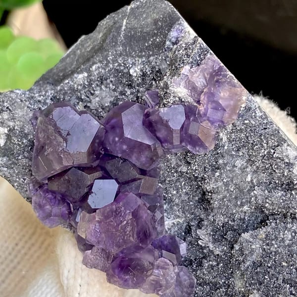 Transparent violet fluorite cubes on dark grey block from Fujian, China, close-up of terminations