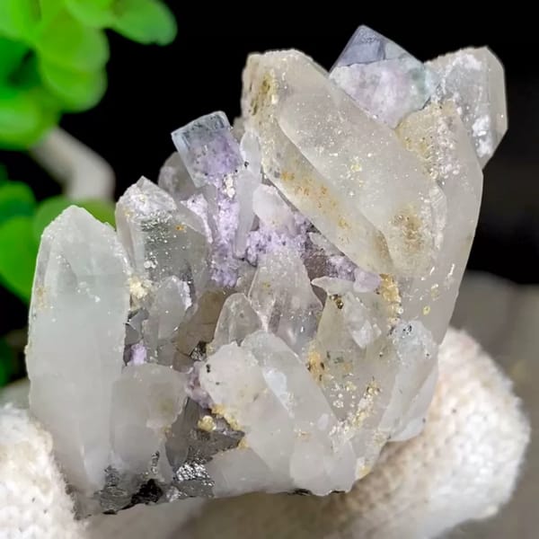 Pale lilac fluorite cubes with quartz and arsenopyrite from Yaogangxian, Hunan, China, held in gloved hand