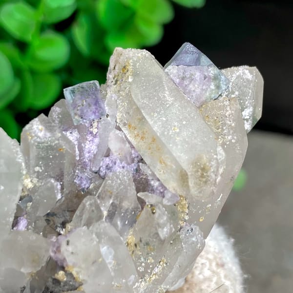 Pale lilac fluorite cubes with quartz and arsenopyrite from Yaogangxian, Hunan, China, detail of the matrix contact