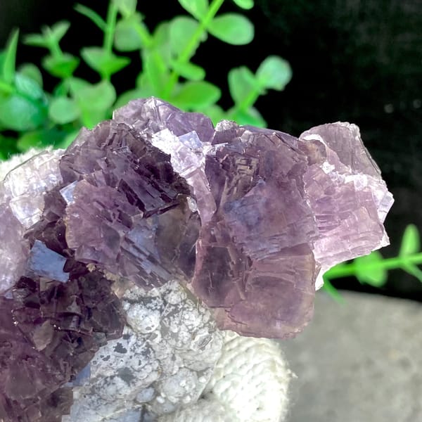 Tall purple fluorite with green cores from Zhejiang, China, close-up of the crystal faces