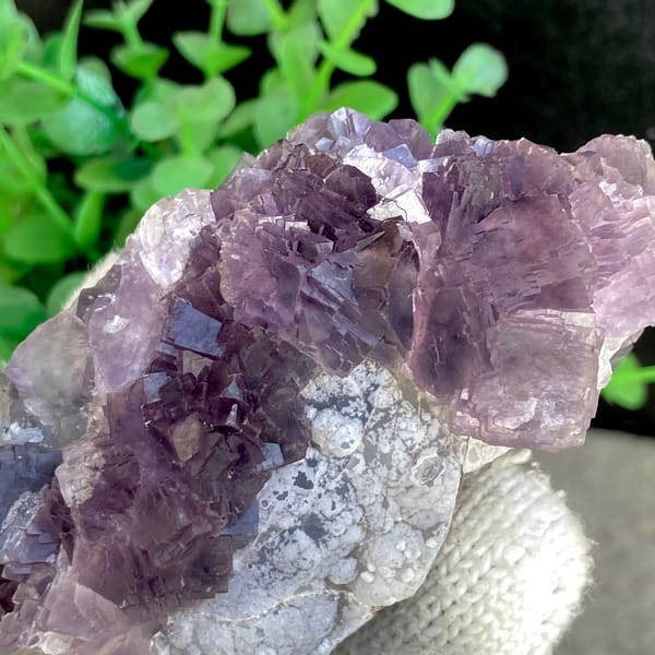 Tall purple fluorite with green cores from Zhejiang, China, reverse side
